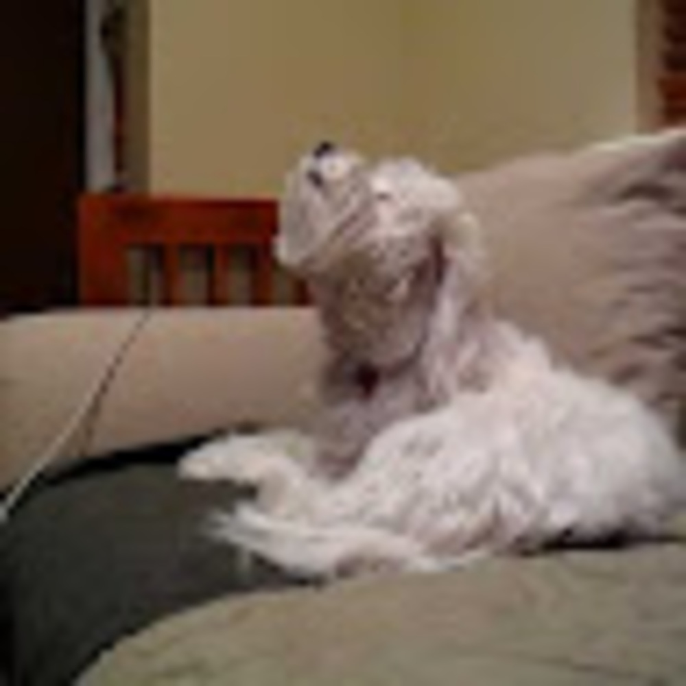 Meet your Posher, Christina